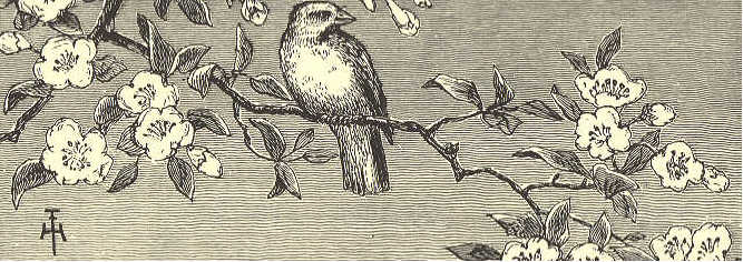 Bird perched on tree branch.