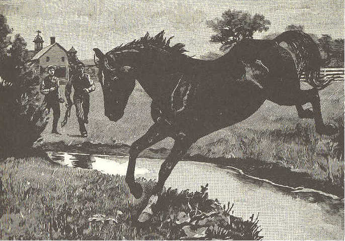 Man and boy chasing horse.