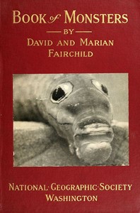 Cover image for Book of Monsters