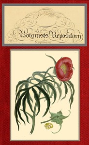 The botanist's repository for new and rare plants; vol. 8 [of 10], active 1799-1828 Henry Cranke Andrews