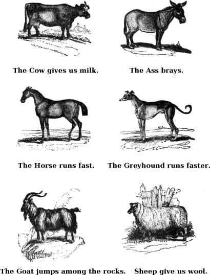 The Cow Gives Us Milk. The Ass Brays. The Horse Runs Fast. The Greyhound Runs Faster. The Goat Jumps Among The Rocks. Sheep Give Us Wool. 