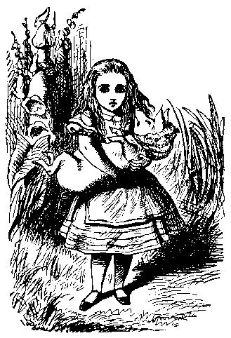 Alice and pig baby
