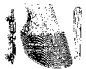 MCGILL's SAND-CRACK CLAMP.