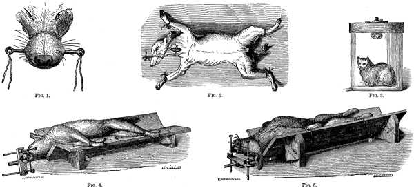 Fig. 1-5 APPARATUS USED IN VIVISECTION.