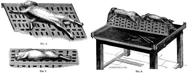 Fig. 6-8 APPARATUS USED IN VIVISECTION.