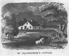 My Grandmother's Cottage