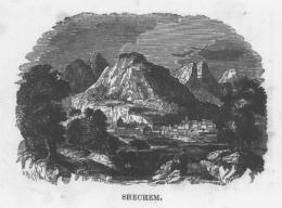 SHECHEM