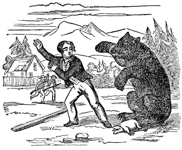 The bear prepared to give battle