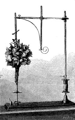  APPARATUS FOR MAKING BOUQUETS.