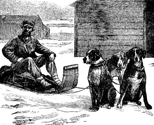  FIG. 19.&mdash;DOG POST AT LAKE SUPERIOR.