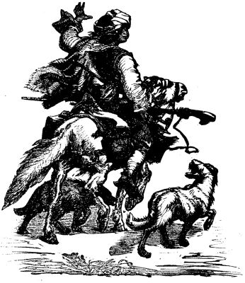  FIG. 24.&mdash;BOSNIAN POST.