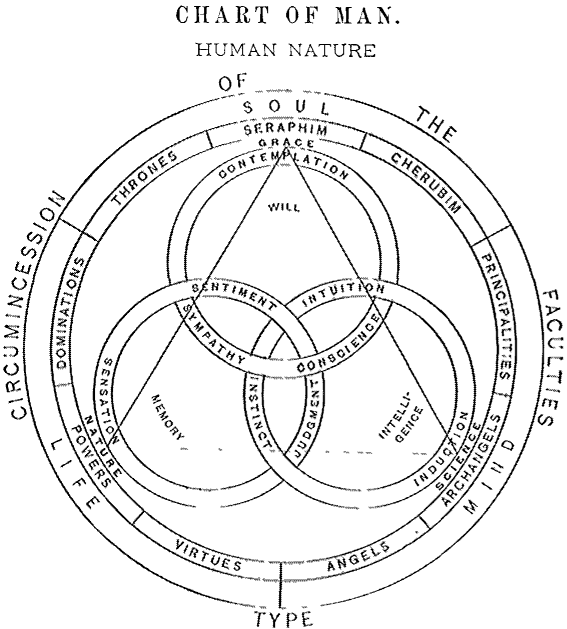 Chart of Man. Human Nature.