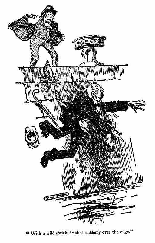 'with a Wild Shriek, he Shot Suddenly over the Edge And
Disappeared.'
