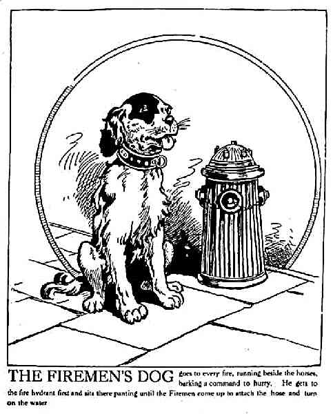 Illustration: The Firemen's Dog.