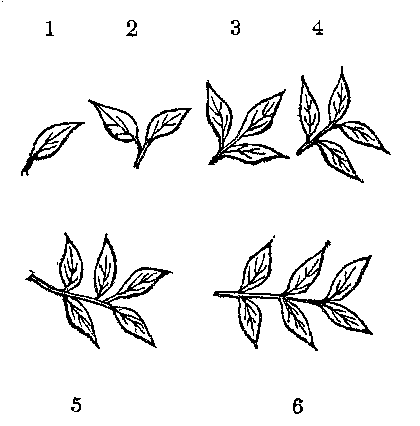Illustration of '1', '2', '3', '4', '5', & '6'.