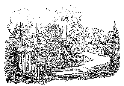 Illustration of a garden.
