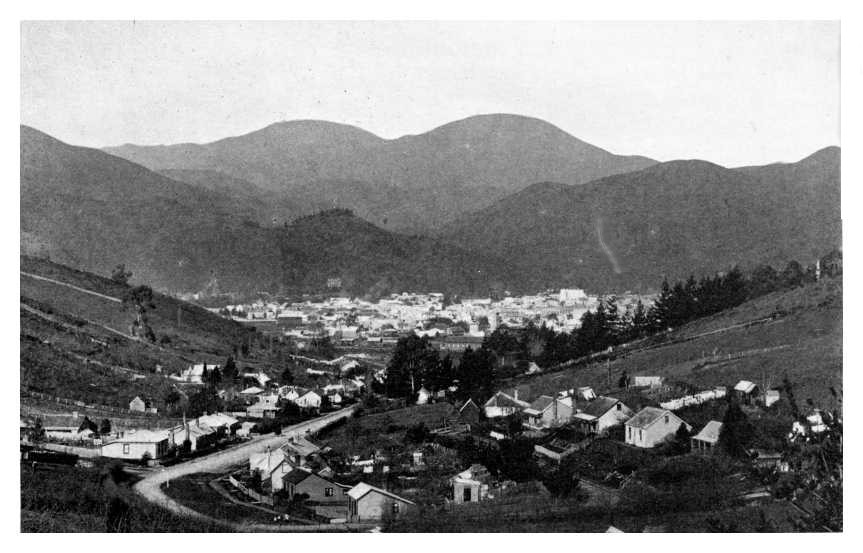 VIEW OF NELSON