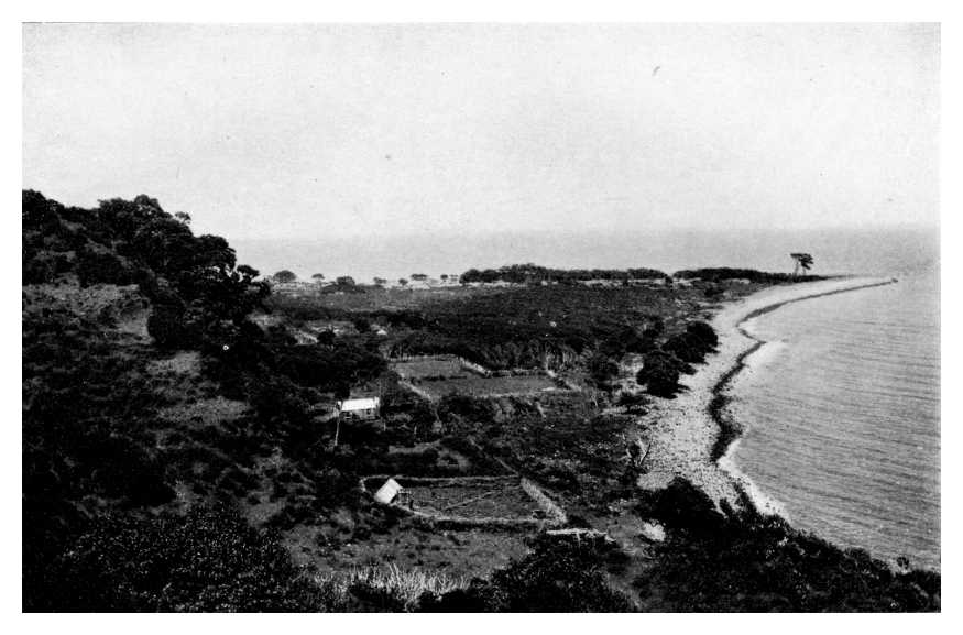 THE CURVING COAST