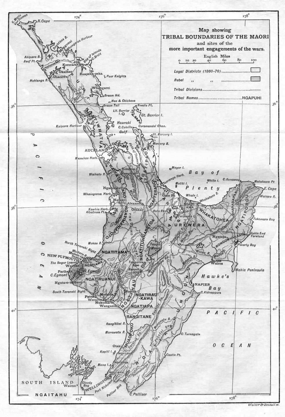 War Map
