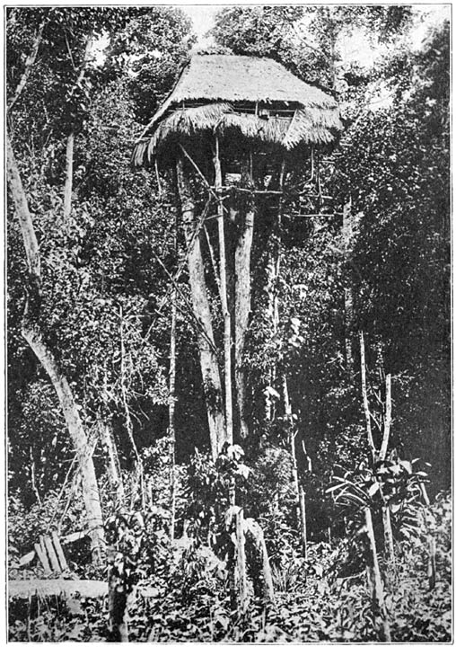 Type of Mandaya tree house