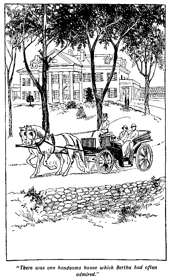 [Illustration: "<i>There was one handsome house which Bertha had often
admired.</i>"]