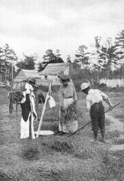 ON A PEANUT FARM. Caesar and his sister at work when
Hamilton came to take the census.