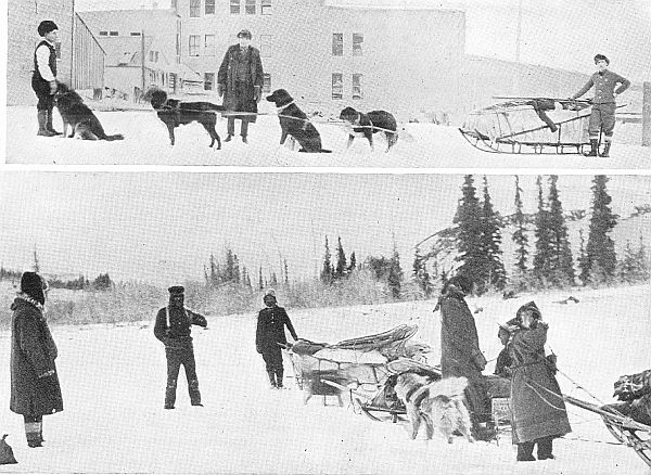 OVER THE TRACKLESS SNOW WITH DOG-TEAM. Census agents in
Alaska starting on perilous journeys in the most severe winter ever
known in sub-Arctic regions. (Courtesy of the Bureau of the Census.)