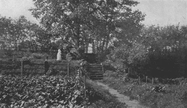 THE UPPER TERRACES OF MR. STOCKTON'S GARDEN AT
CLAYMONT.