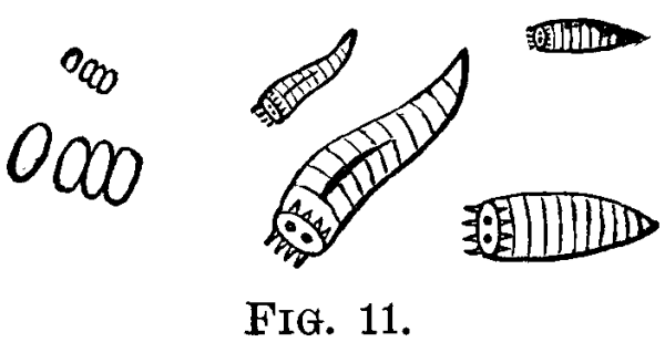 FIG. 11.