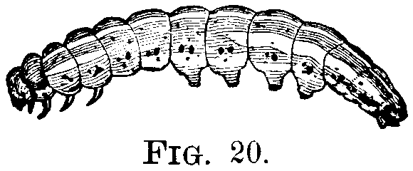 FIG. 20.