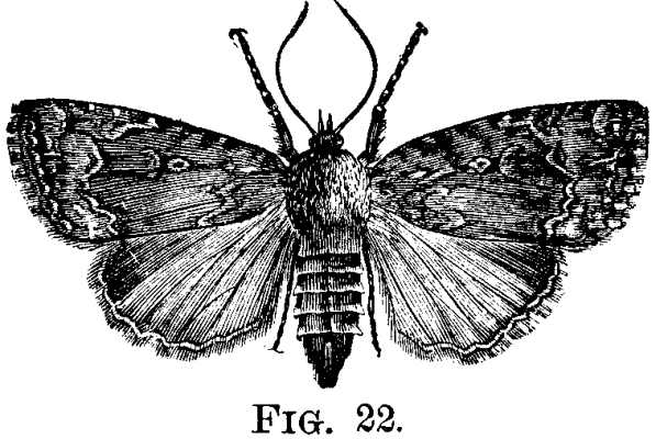 FIG. 22.