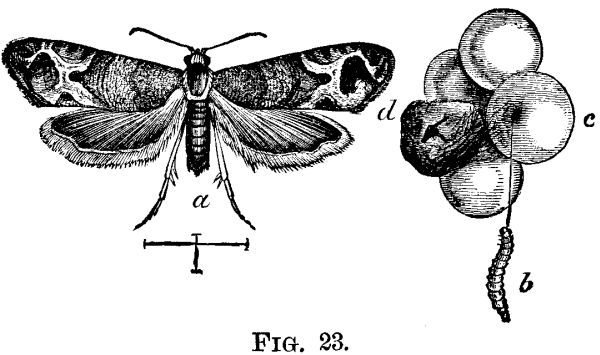 FIG. 23.