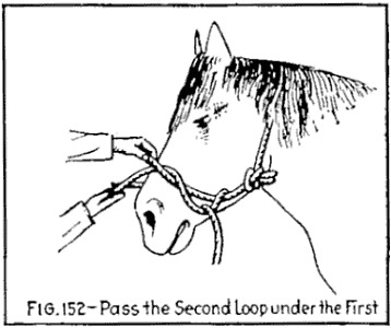 Illustration: FIG. 152&mdash;Pass the Second Loop under the First.
