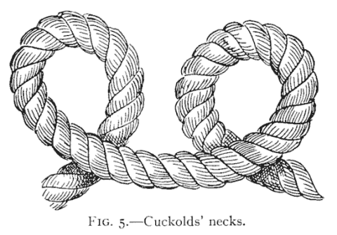 Illustration: FIG. 5.&mdash;Cuckolds' necks.