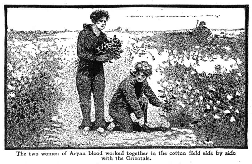 The Two Women of Aryan Blood Worked Together in The
Cotton Field Side by Side With the Orientals.
