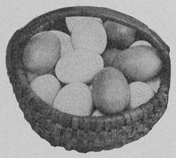 Old Egg Basket