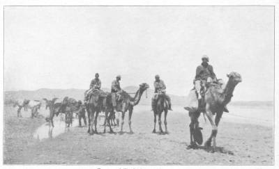 Captured Turkish camel corps