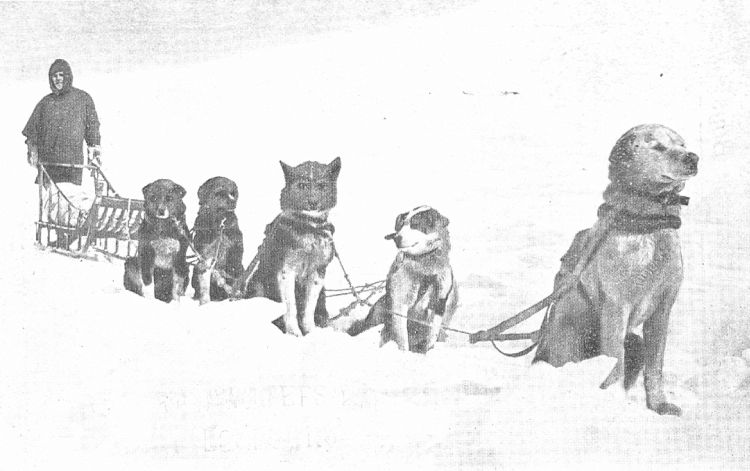 Roy J. Snell, and his sledge-team of Alaskan Huskies.