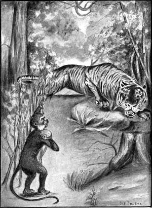 With all his might he threw the empty cocoanut shell right
at the tiger's head. (Page 35) <i>Frontispiece</i>