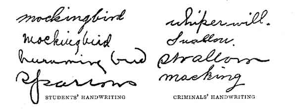 Comparison of students' and criminals' handwriting.