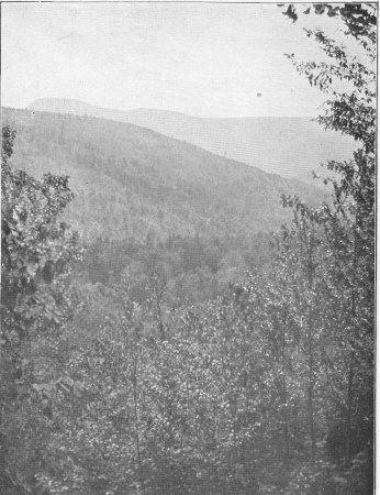 A Distant View of Slide Mountain
The Highest of the Catskills (page 155)
