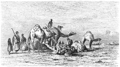 Een groep kameeldrijvers.