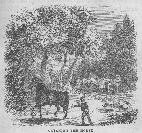 An engraving of Beechnut catching the horse.