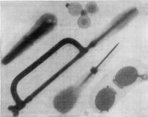 A GROUP OF FAMILIAR ARTICLES UNDER THE R&Ouml;NTGEN RAYS.