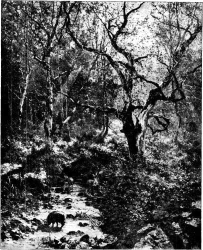 A SUNLIT GLADE. FROM A PAINTING BY L&Eacute;ON GERMAIN PELOUSE.