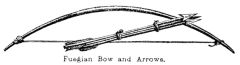 Illustration: Fuegian Bow and Arrows