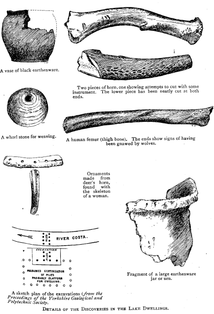 DETAILS OF THE DISCOVERIES IN THE LAKE DWELLINGS. A vase of black earthenware. Two pieces of horn, one showing attempts to cut with some instrument. The lower piece has been neatly cut at both ends. A whorl stone for weaving. A human femur (thigh bone). The ends show signs of having been gnawed by wolves. Ornaments made from deer's horn, found with the skeleton of a woman. Fragment of a large earthenware jar or urn. A sketch plan of the excavations (_from the Proceedings of the Yorkshire Geological and Polytechnic Society_).