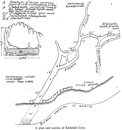 A plan and section of Kirkdale Cave.