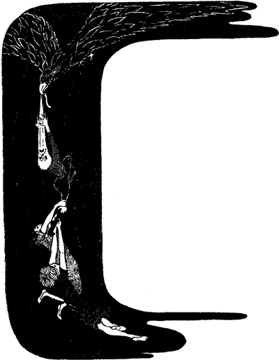 The bird above