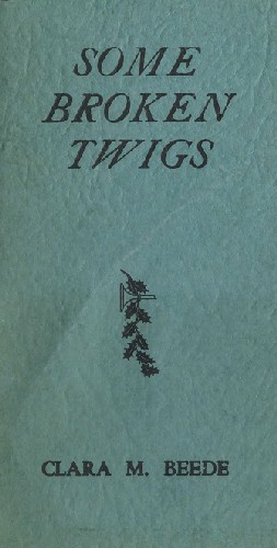 Some Broken Twigs chapbook cover